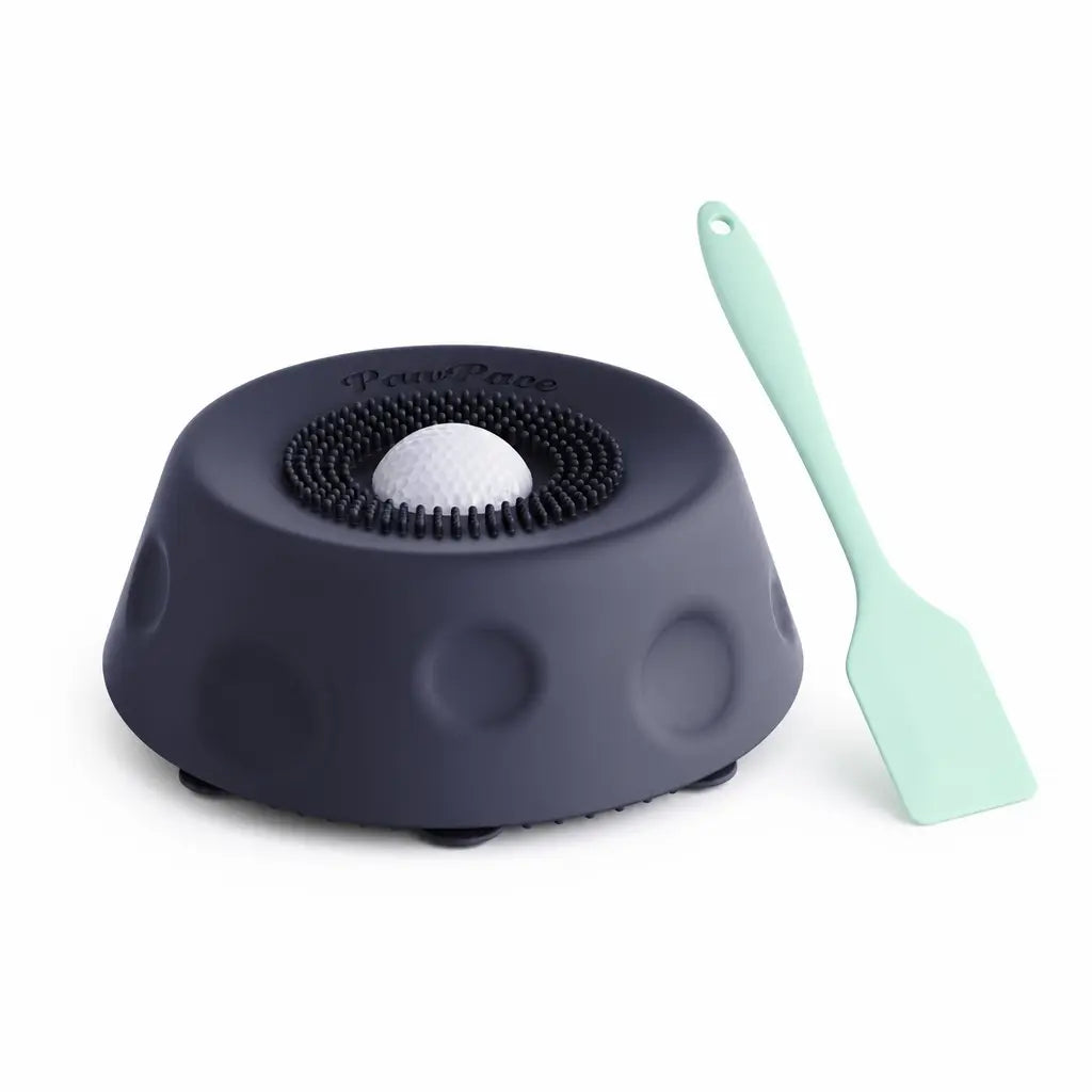 FREE GIFT | 2-in-1 Slow Feeder Lick Bowl for Dogs