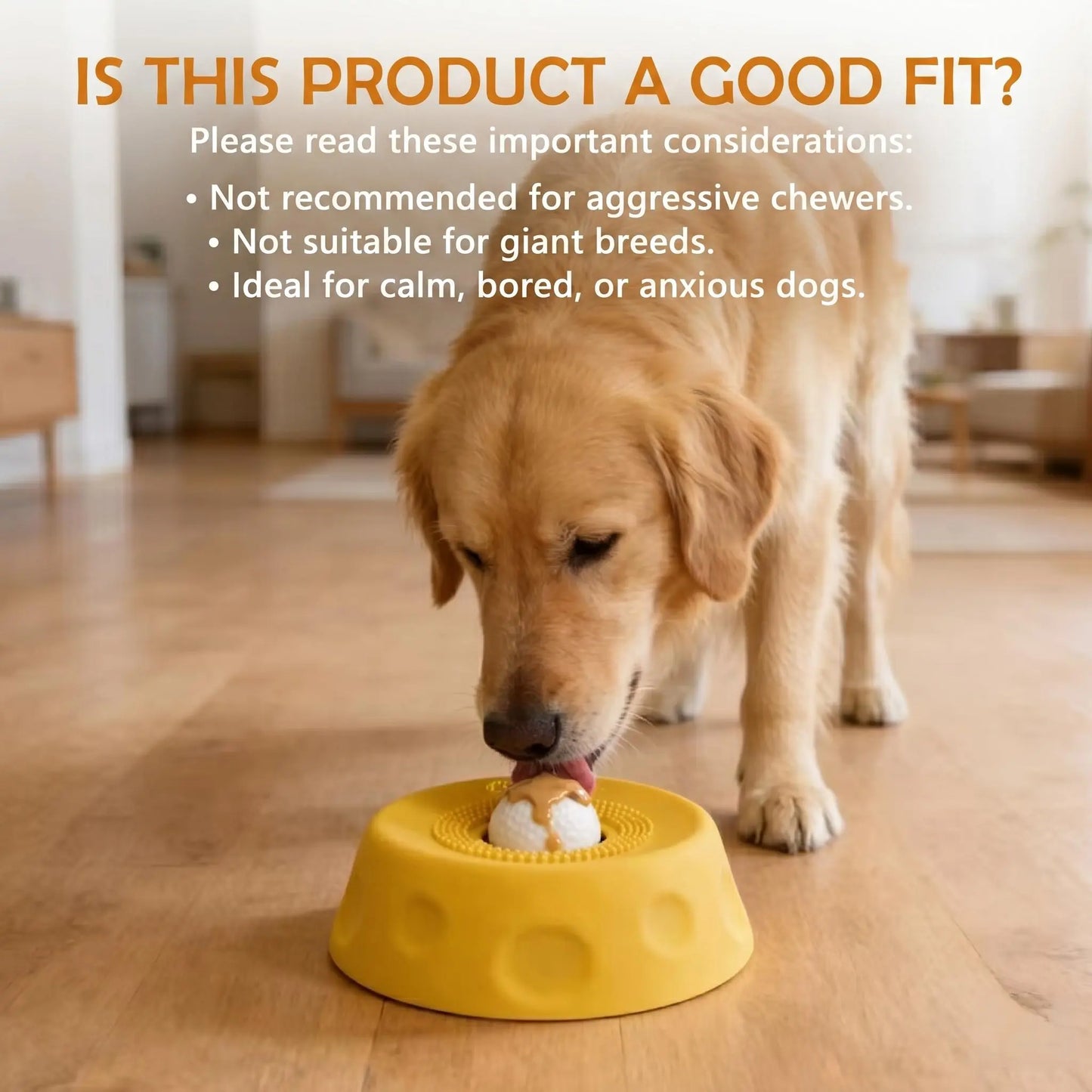 FREE GIFT | 2-in-1 Slow Feeder Lick Bowl for Dogs