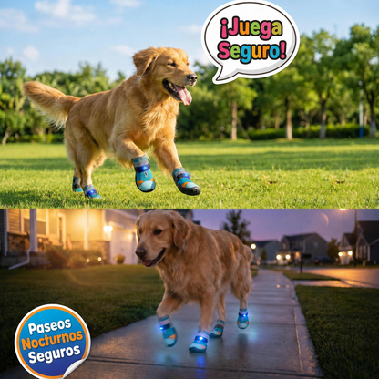 Zapatos con Luz Integrada para Perro