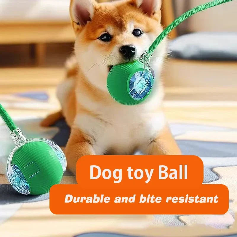 2026 PLE New Dog Interactive Ball Toy, Automatic Rolling Dog Ball Rechargeable, Fast Ball pets