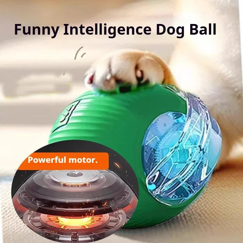 2026 PLE New Dog Interactive Ball Toy, Automatic Rolling Dog Ball Rechargeable, Fast Ball pets