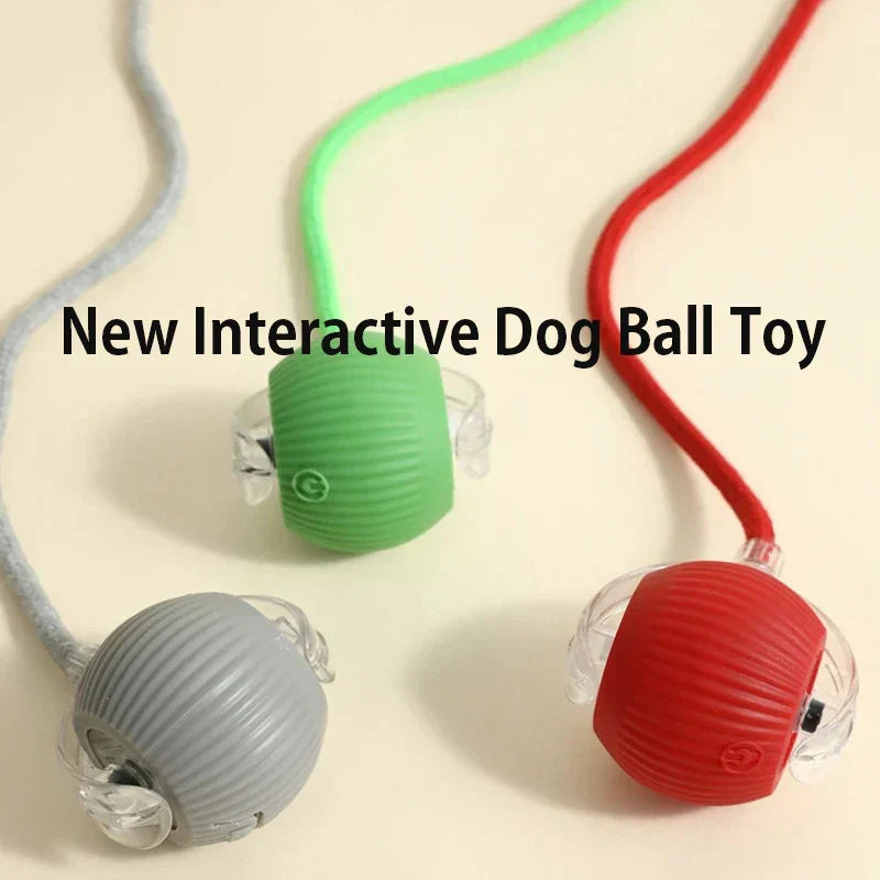 2026 PLE New Dog Interactive Ball Toy, Automatic Rolling Dog Ball Rechargeable, Fast Ball pets