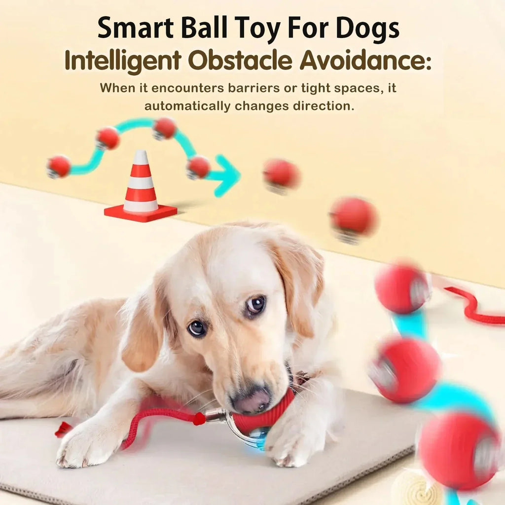 2026 PLE New Dog Interactive Ball Toy, Automatic Rolling Dog Ball Rechargeable, Fast Ball pets