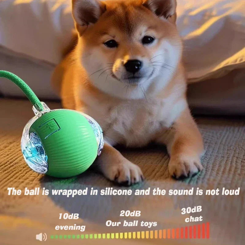 2026 PLE New Dog Interactive Ball Toy, Automatic Rolling Dog Ball Rechargeable, Fast Ball pets