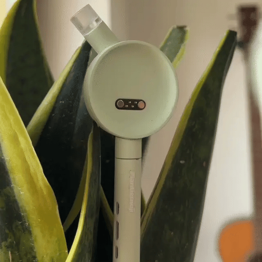 Plantiemoji™ Smart Plant Care Wand 🌱