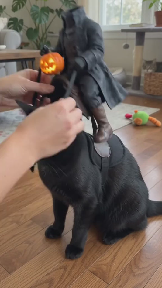 The Headless Horseman Rider Pet Costume