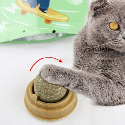 Catnip licking food