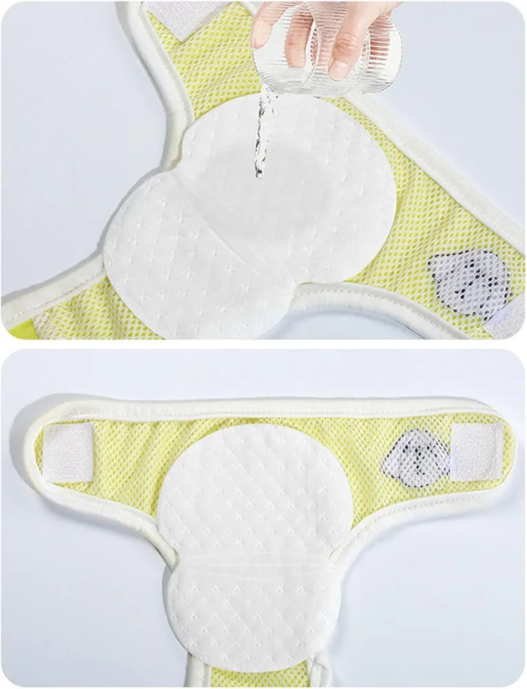 Dog menstrual underwear + pads