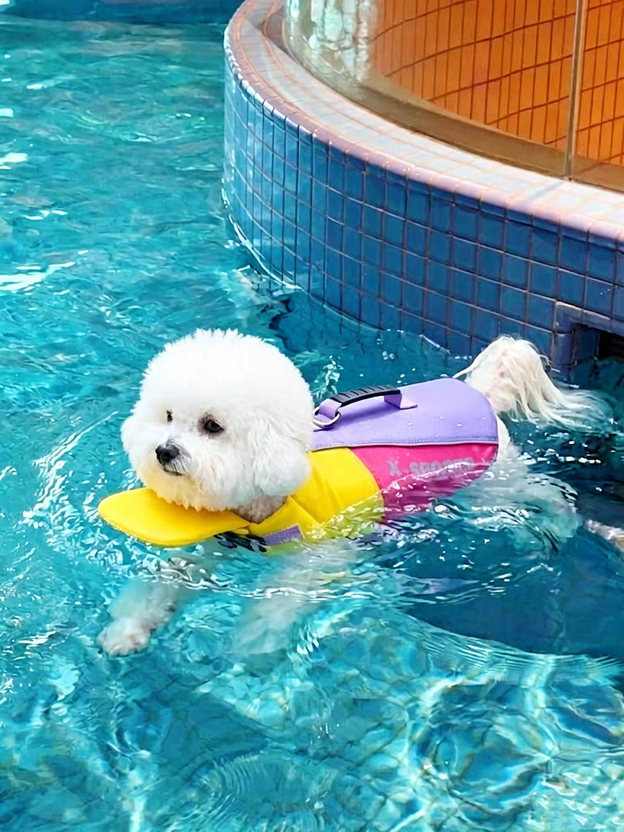 Dog life jacket_ Dog swimming coat