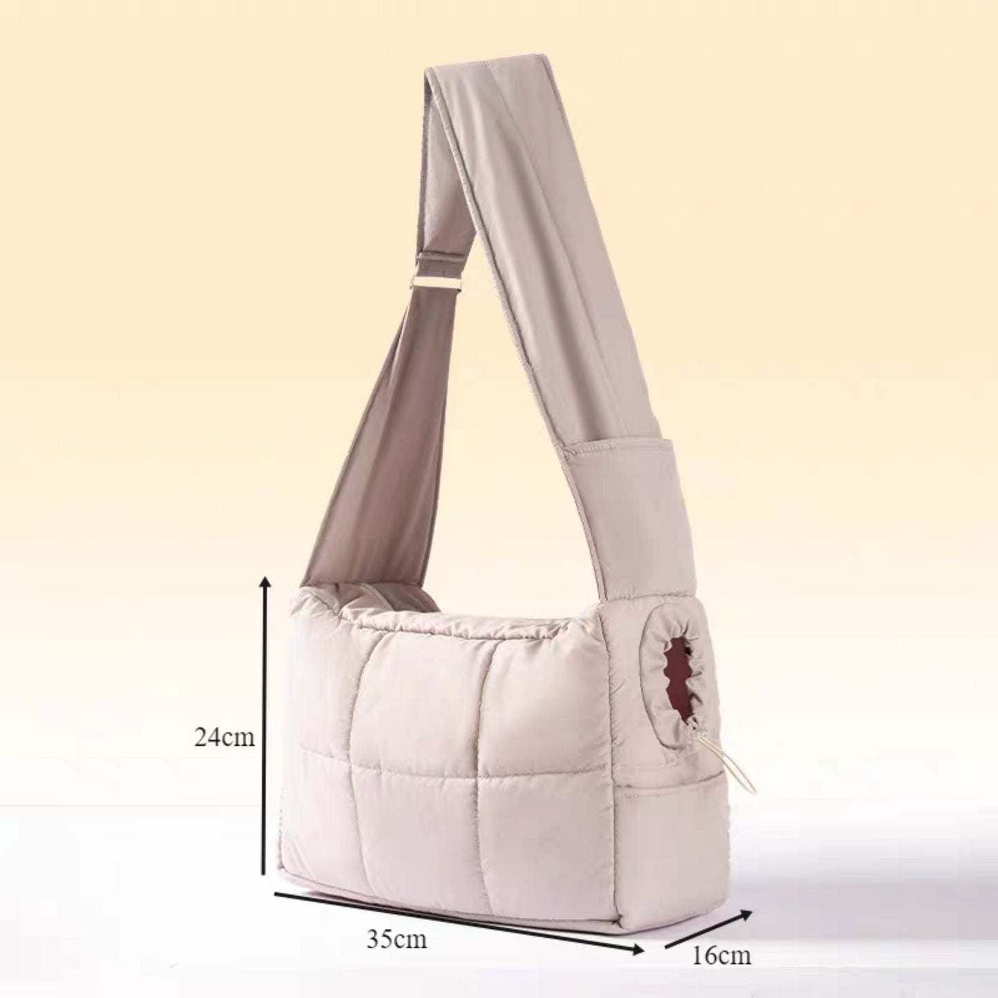 Pet carrier bag for autumn and winter