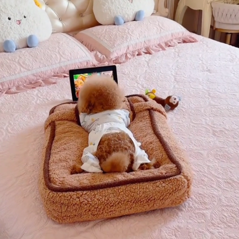 Winter warm dog bed/sofa with pillow