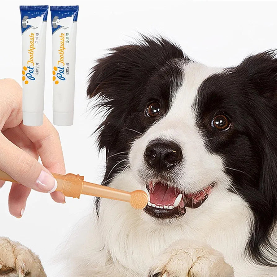Dog teeth cleaning chew toy