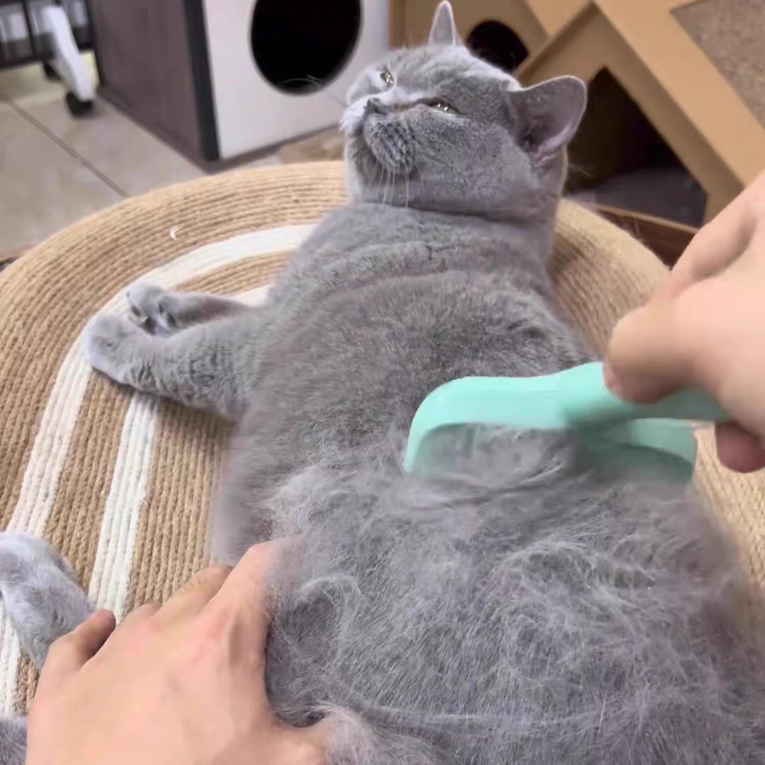 Pet hair comb