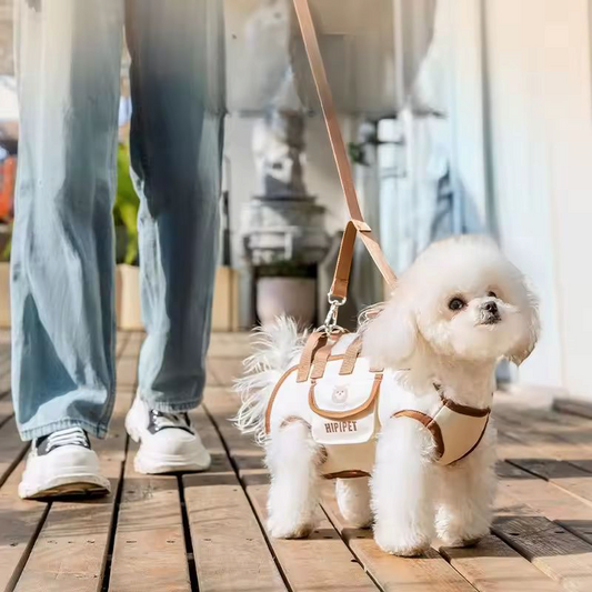 Pet carrier shoulder bag