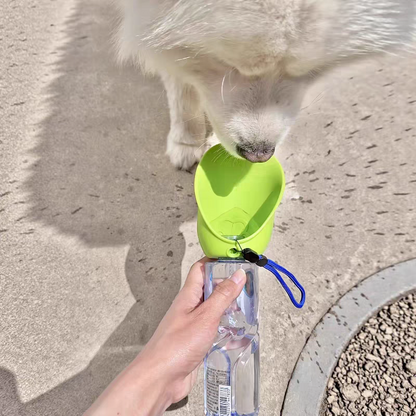 Foldable water dispenser for outdoor pets