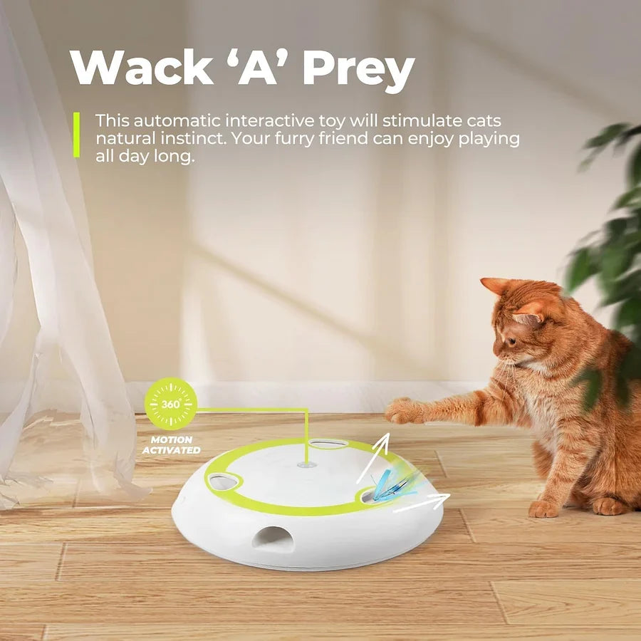 Interactive cat toy