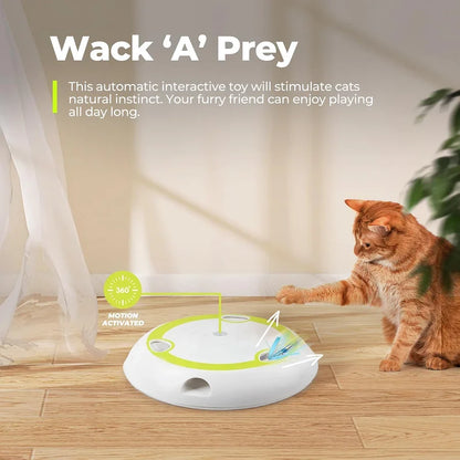 Interactive cat toy