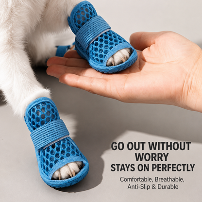 Summer Dog shoes