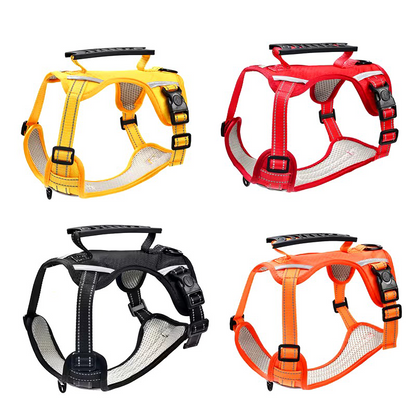 Pet Chest Harness