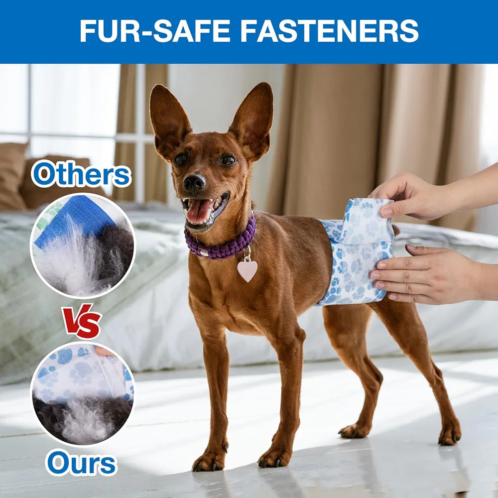 Male and female dog diapers