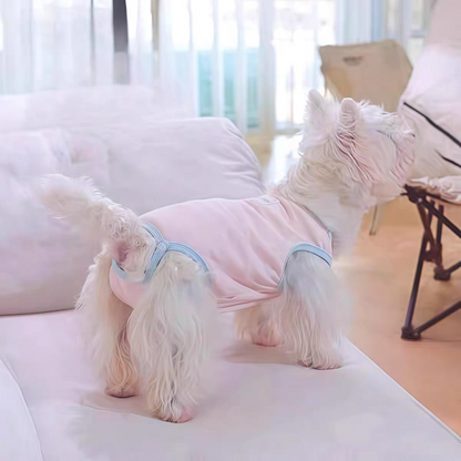 Dog sanitary pants