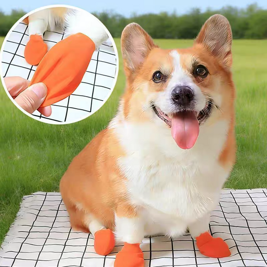 Dog paw cover ballon _ rain , snow boots