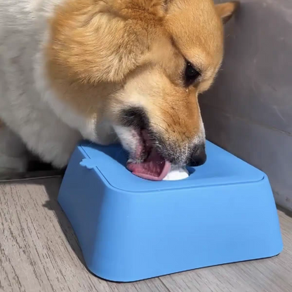Slow-feeding bowl for dogs and cats