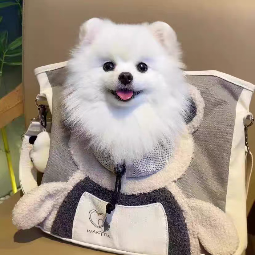 Pet carrier bag