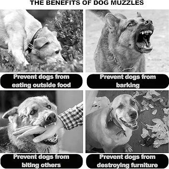 Dog muzzle
