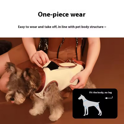 Pet carrier shoulder bag