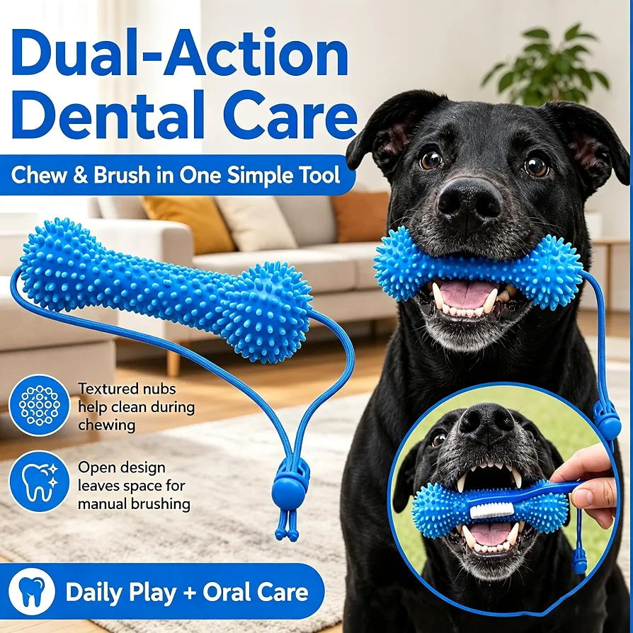 Dog teeth cleaning chew toy