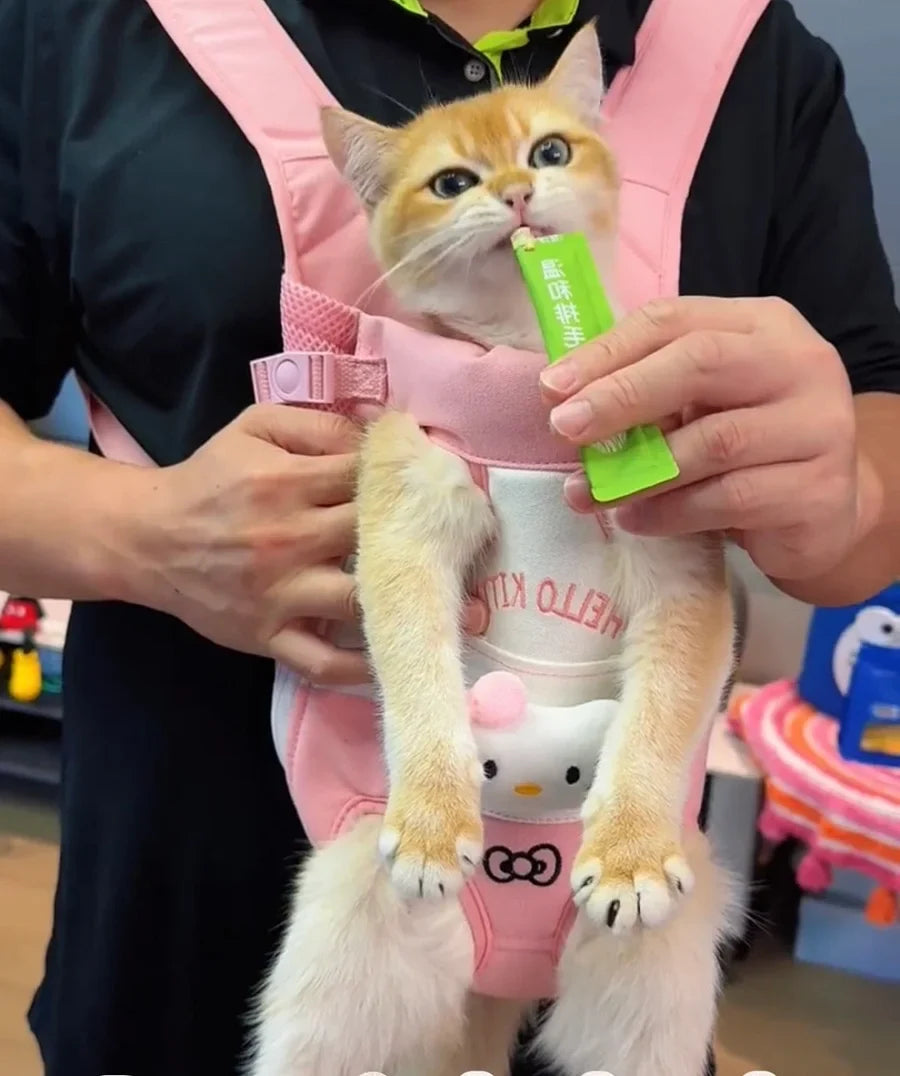 Pet chest bag