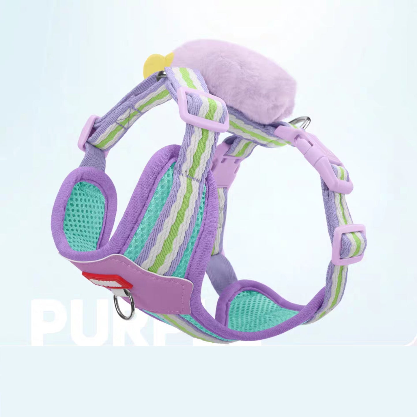 New dog leash