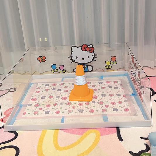 DIY Acrylic Dog Toilet