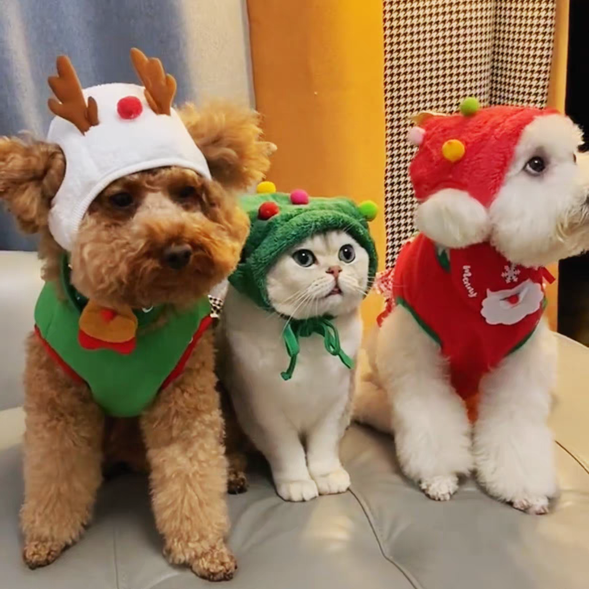 Pet Christmas dress