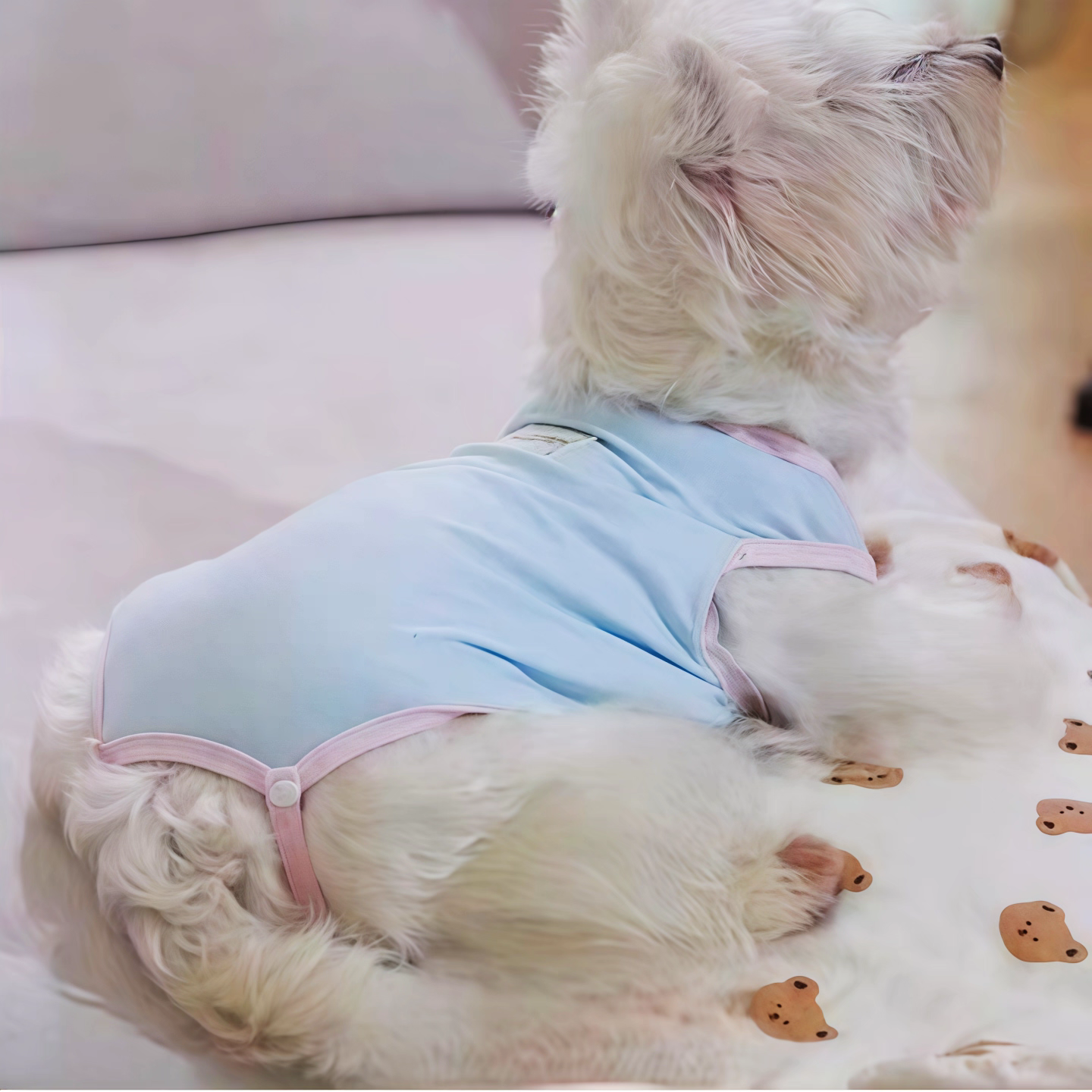 Dog sanitary pants