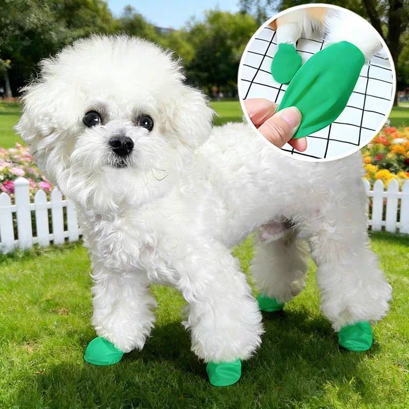 Dog paw cover ballon _ rain , snow boots