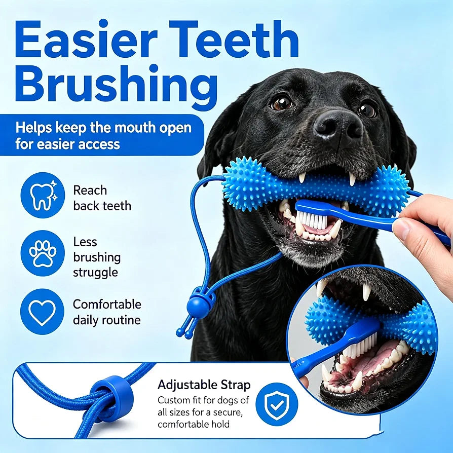 Dog teeth cleaning chew toy