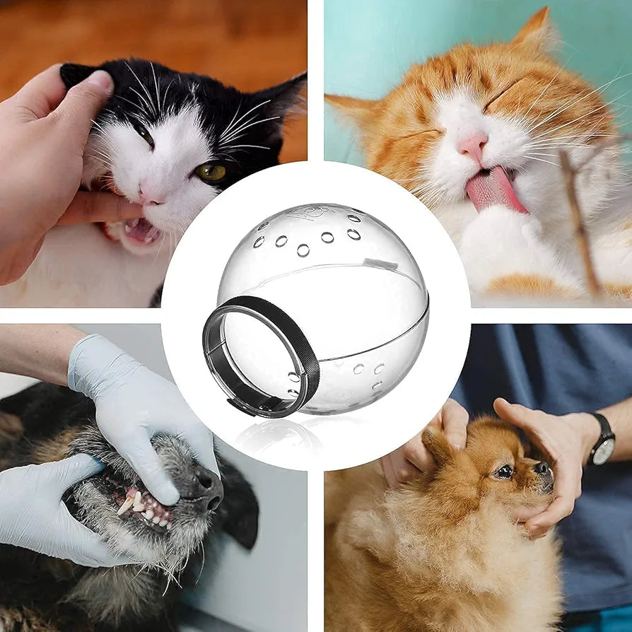 Cat Head protective cover