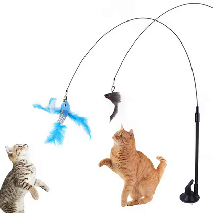 Cat wand toys