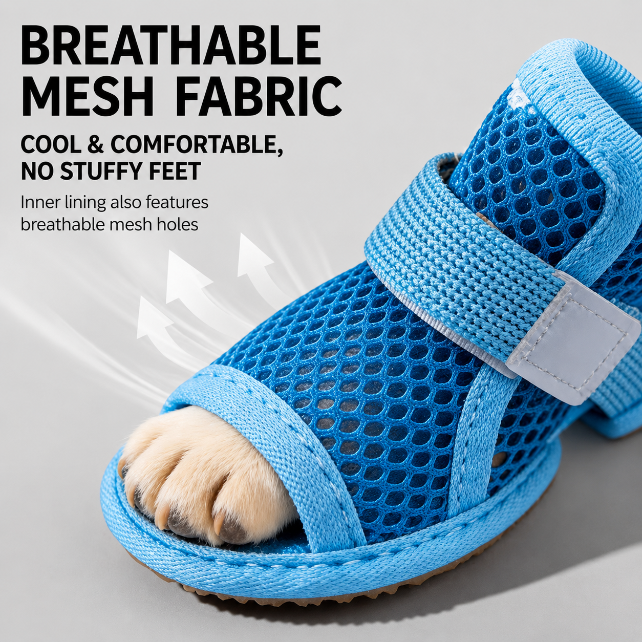 Summer Dog shoes
