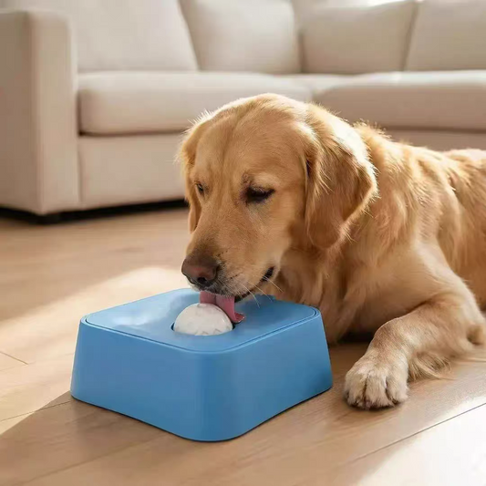 Slow-feeding bowl for dogs and cats