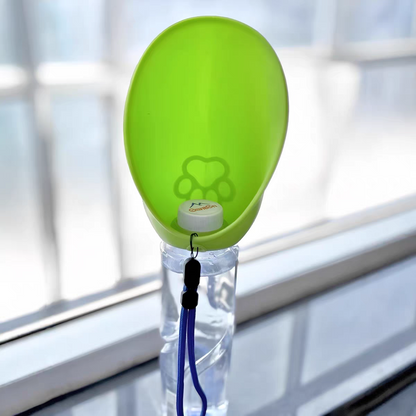 Foldable water dispenser for outdoor pets