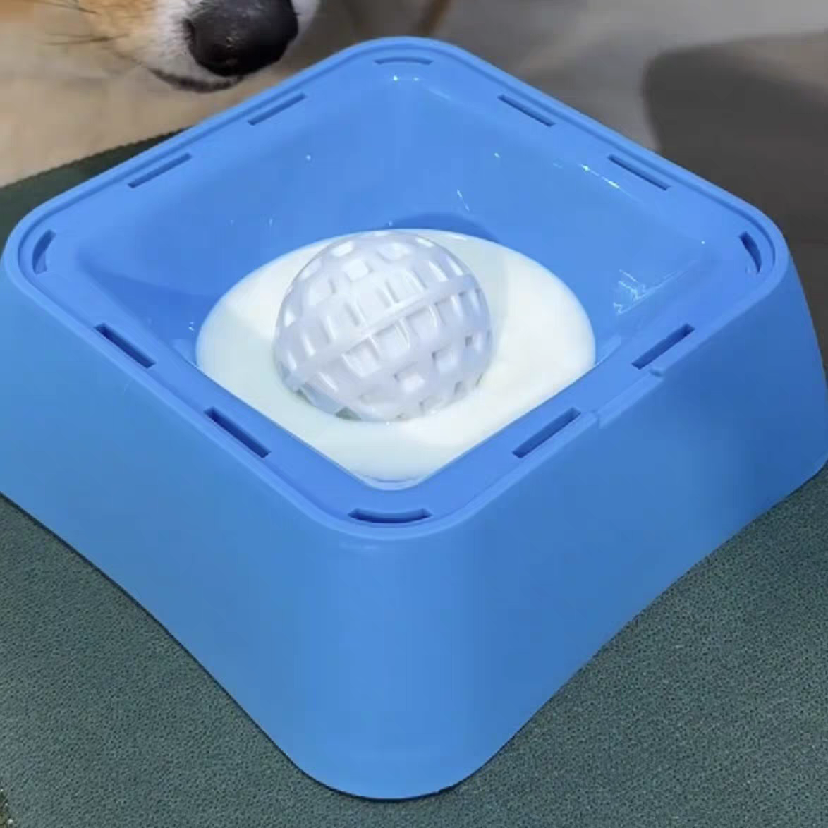 Slow-feeding bowl for dogs and cats