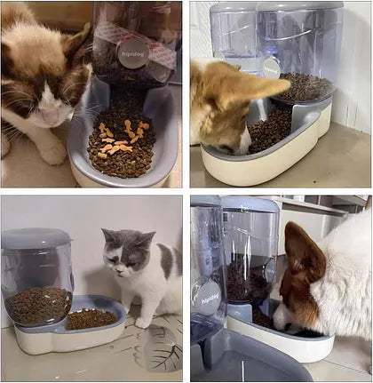 Large capacity food dispenser