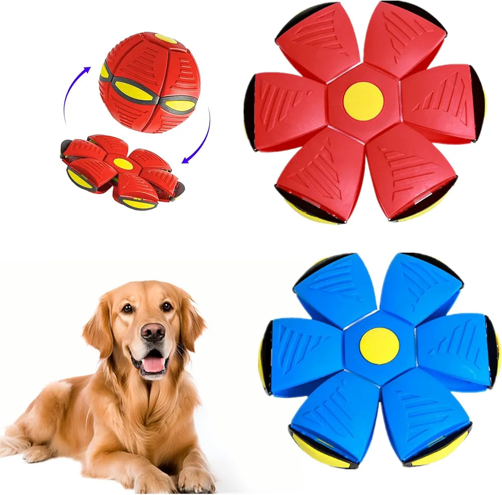 Flying Magic ball For dogs