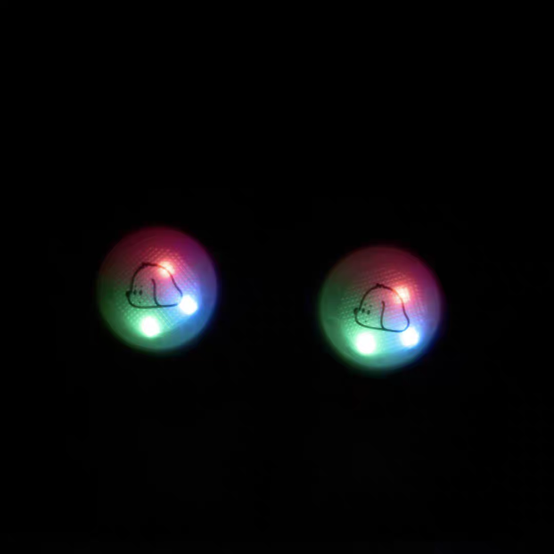 Winter dog shoes with light (2 pairs)