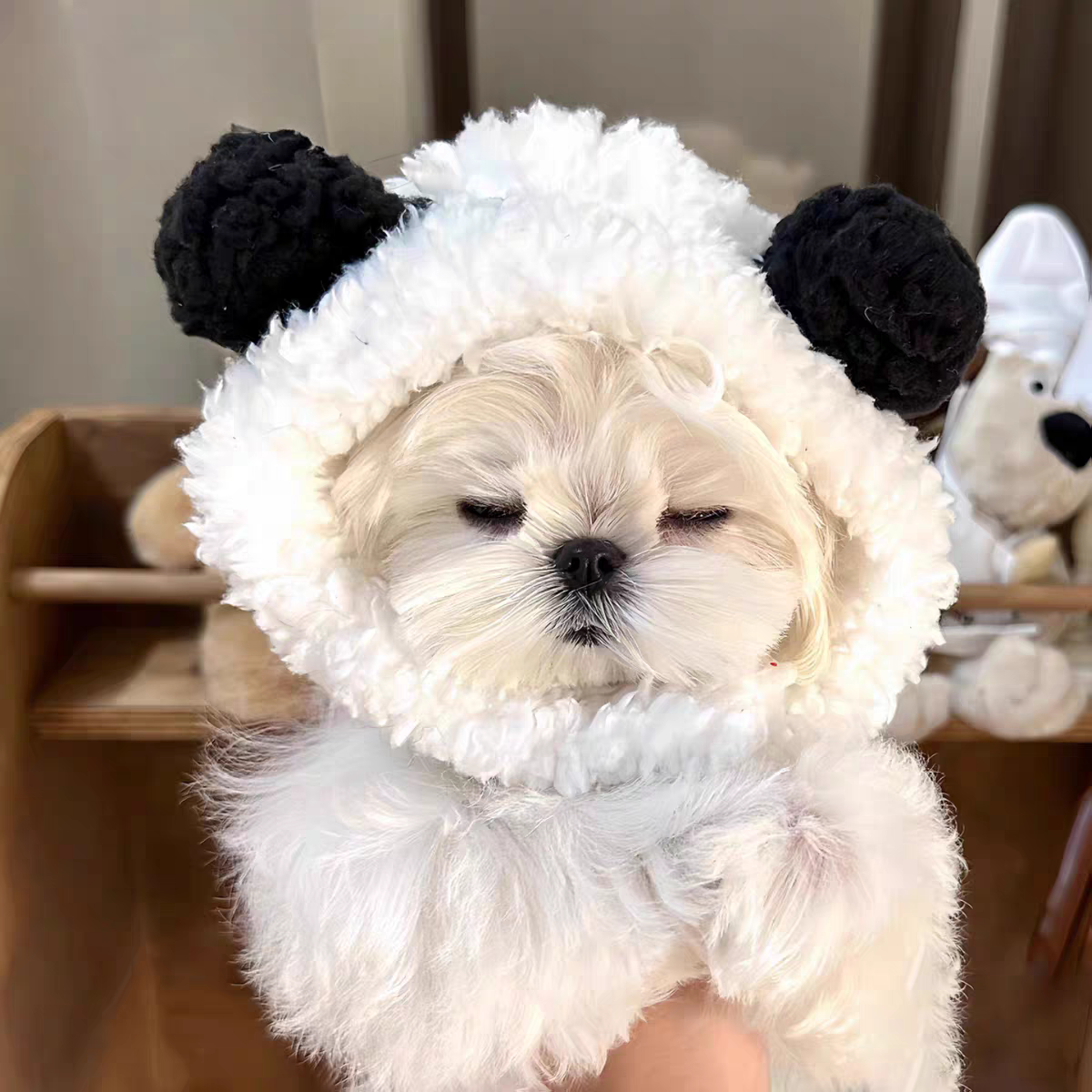 Warm Bear Headband