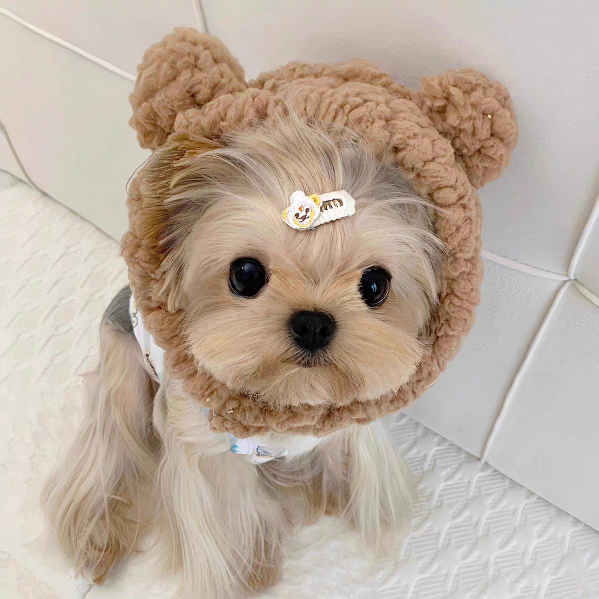 Warm Bear Headband