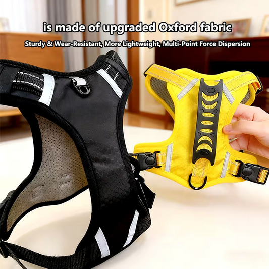 Pet Chest Harness
